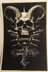 skull and the cross (Small)