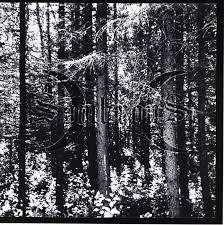 Sombrous - Transcending the Umbra (CD, New)