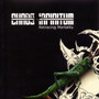 Chaos Infinitum ‎– Retracing Mortality (CD, Used)