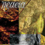 Neaera ‎– The Rising Tide Of Oblivion (CD, Used)