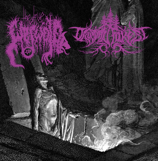  The True Werwolf / Druadan Forest ‎– Split (CD, New)