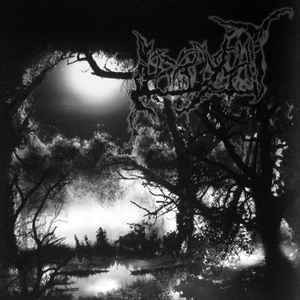 Irrlycht ‎– Irrlycht (LP, New)