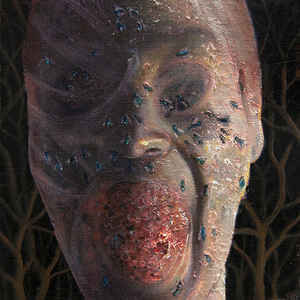 Festerday - The Four Stages Of Decomposition (3 x LP, New)