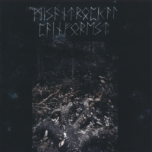 Misantropical Painforest - Firm Grip of the Roots (new)