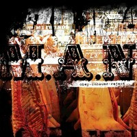 M.A.N – Obey. Consume. Reject  (CD used)