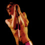 Iggy and the Stooges - Raw power (CD, new)