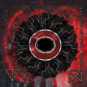 Psychonaut 75 / Aesthetic Meat Front ‎– Demonium Of The Earth / Bird Of Oblivion, An Incantation Of Fire (CD, used)