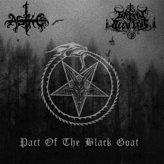 Aske / Gnosis Occultus - Pact Of The Black Goat (CD, Uusi)