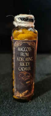 Maggots from a Decaying Suicide Cadaver (small bottle)