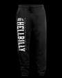 Hellbilly 666% sweatpants