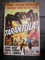 Tarantula tin sign 20cm * 30cm