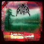 Kruk ‎– Drowned in a SwampHeart of Evrope (CD, used)