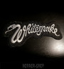Whitesnake patch