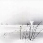 Timo rautiainen - Itku pitkästä ilosta (CD, used)
