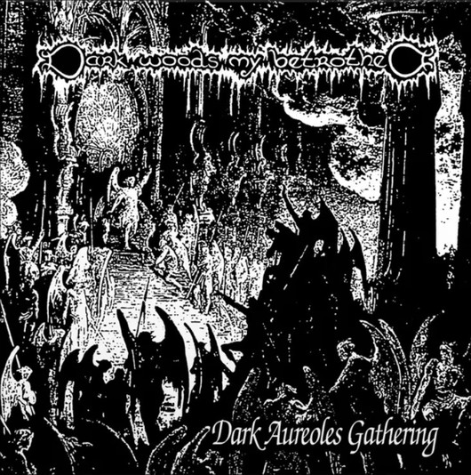 Darkwoods My Betrothed - Virgins Cunt (LP, new)