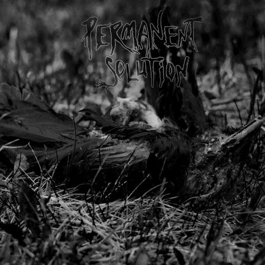 Permanent Solution - Permanent Solution (CD uusi)