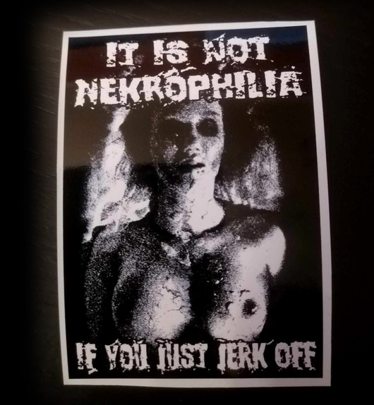 Its not nekrophilia vinyl sticker