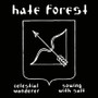 HATE FOREST - Celestian Wanderer / Sowing the Salt (CD, new)