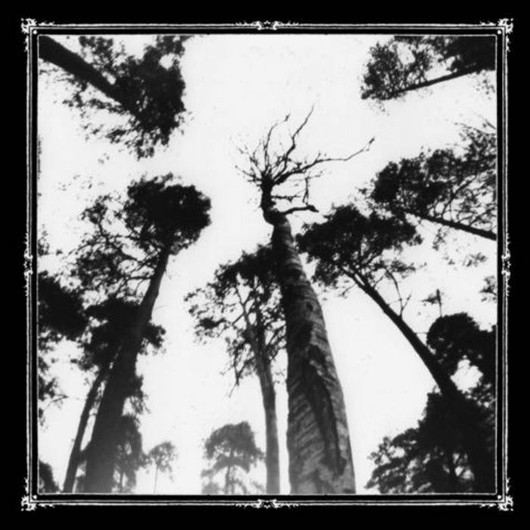 Ancestors Blood - When the forest calls CD (used)