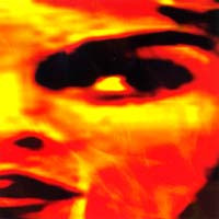 Left Hand Solution  -  Fevered (CD, Used)