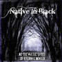 Native in black - At the Mystic Gates of Eternal Winter (CD, New)