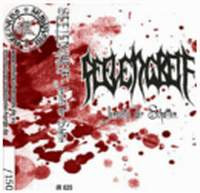 Seelengreif - Jenseits der Schatten (CD, New)