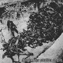 Beyond Ye Grave – Raping The Creation Of God (CD, Uusi)