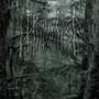 Waldgeist - Waldgeist (CD, New)
