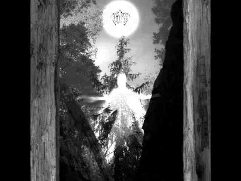Taatsi - Amidst the Trees (CD, New)
