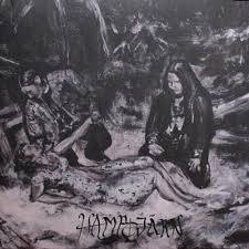 Woods Of Infinity - Hamptjärn (LP, New)