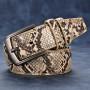 Ratlle snake belt