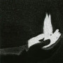 Profane Congregation Apocalyptic visions (CD, New)