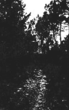 Mons Veneris – Vastlands Of My Decayed Realm (C-cass used)