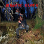 MYSTIC BLOOD  (CD, new)