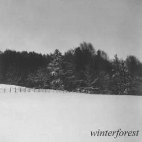 Goatmoon / Dead Reptile Shrine ‎– Winter Forest Split (LP, New)