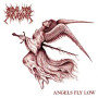 Ride for Revenge Angles Fly Low (CD, New)