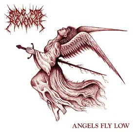 Ride for Revenge Angles Fly Low (CD, New)