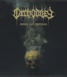 orchodoxy novus cux dominus (CD, Käytetty)