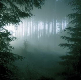 THY SERPENT - Forests of Witchery (CD, new)