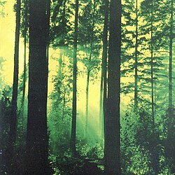 THY SERPENT - Forests of Witchery (LP, New)