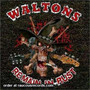 Waltons - remain in rust (CD, used)