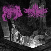 True Werwolf, Druadan Forest Split LP (new)