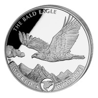 Kongo 2021 Valkopäämerikotka 1oz hopea