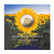 Latvia 2 € 2023 Auringonkukka & Ukraina, BU coincard