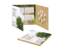 Irlanti 2025 BU Biodiversiteetti & Wych Elm