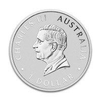 Australia 2025 Kookaburra hopearaha 1 unssi