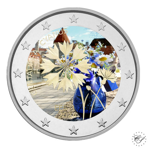 Viro 2 € 2024 Ruiskaunokki, väritetty (#3)
