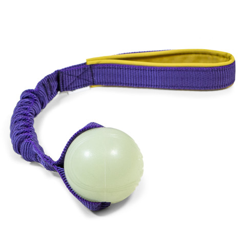 Zayma Chuckit! Max Glow Bungee S