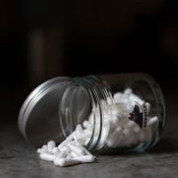 Hundigt Nosework topsit lasipurkissa, 120 kpl