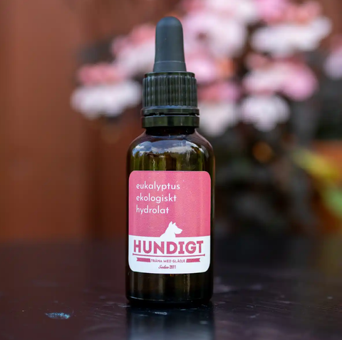 Hundigt Nosework hydrolaatti eukalyptus Carthago, 30 ml